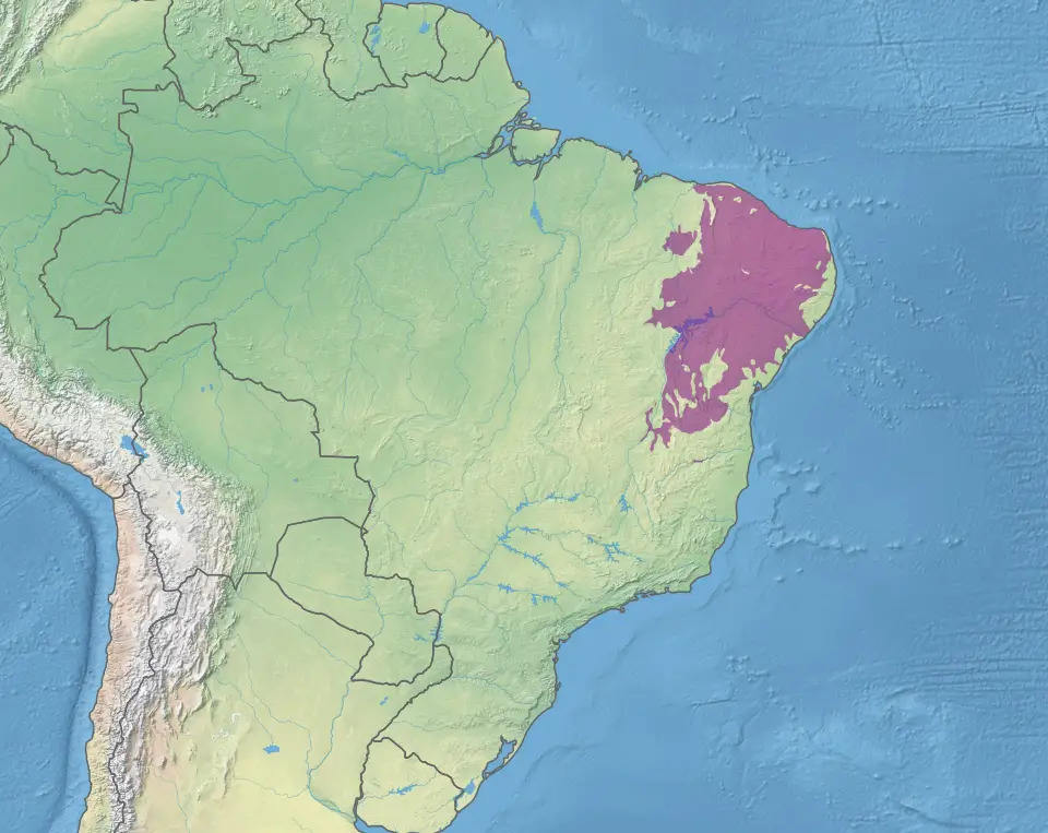 Map depicting the Caatinga biome, as delineated by the WWF.