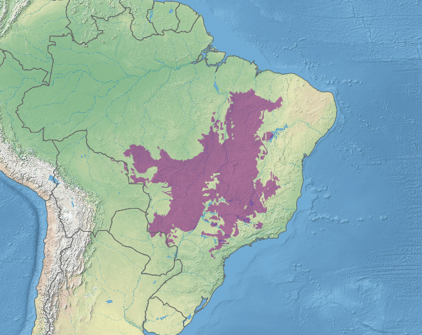 Map depicting the location of the Cerrado ecoregion (in purple)