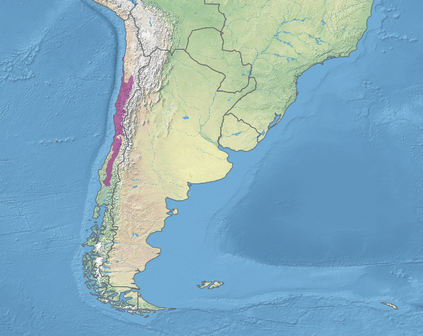Map depicting the location of the Chilean Matorral (in purple)