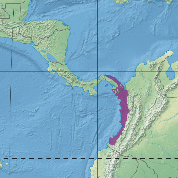 Map illustrating the location of the Chocó-Darién moist forests (in purple)