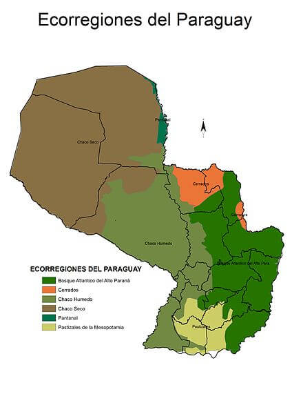 Map depicting the ecoregions of Paraguay