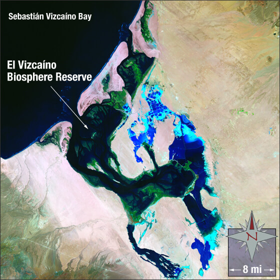 El Vizcaíno Biosphere Reserve, via NASA