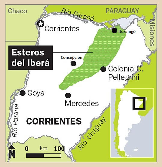 Map depicting the location of Esteros del Iberá, Corrientes, Argentina