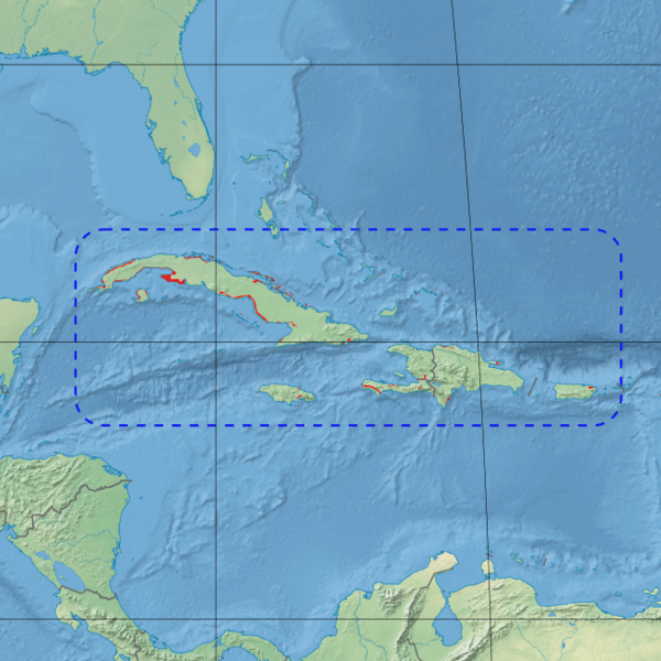 Map depicting the location of the Greater Antilles mangroves (red areas in blue-hashed box)