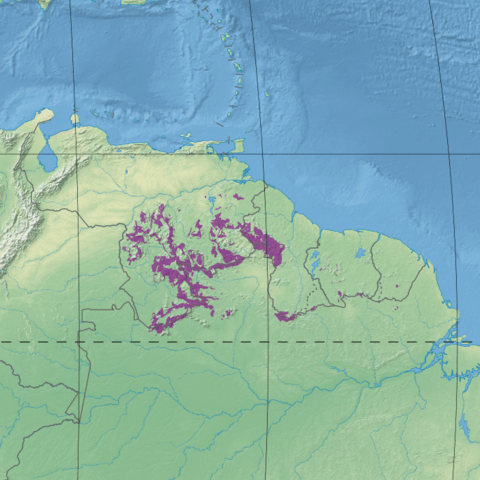 Map depicting the location of the Guianan Highlands moist forests ecoregion (in purple)