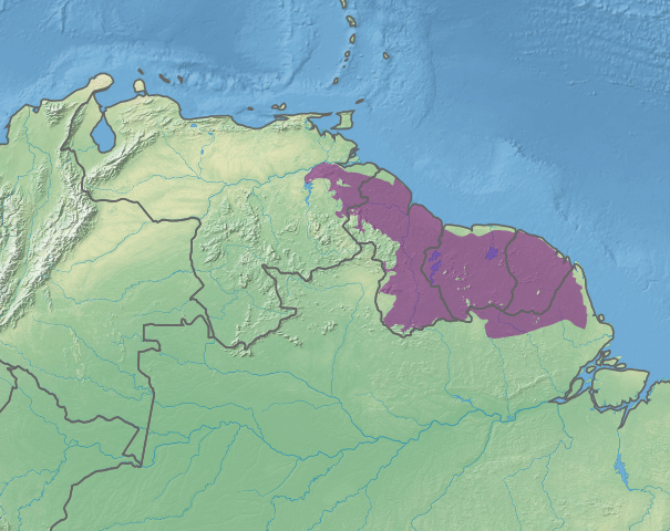Map depicting the location of the Guianan moist forests ecoregion (in purple)