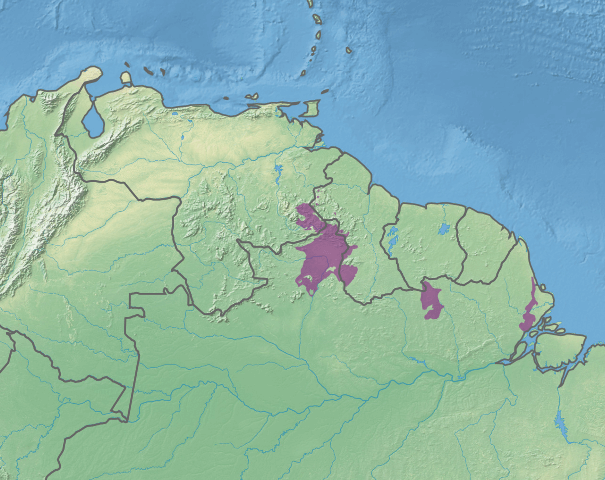 Map depicting the location of the three sections of the Guianan savanna (in purple)