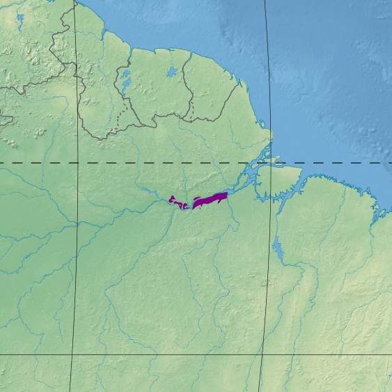 Map depicting the location of the Gurupa várzea (in purple)