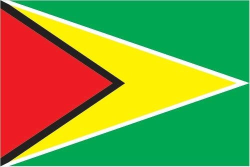 Official flag of Guyana