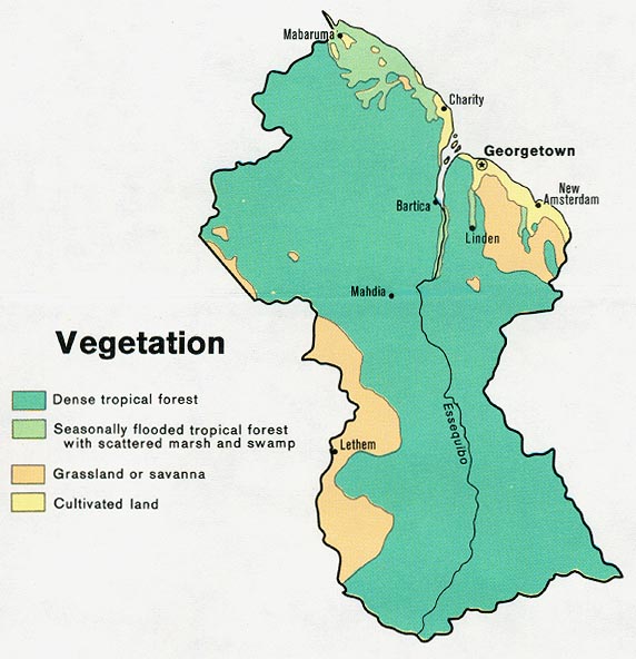 Vegetation map of Guyana