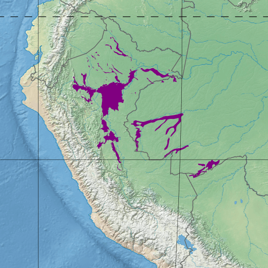 Map depicting the location of the Iquitos várzea (in purple)