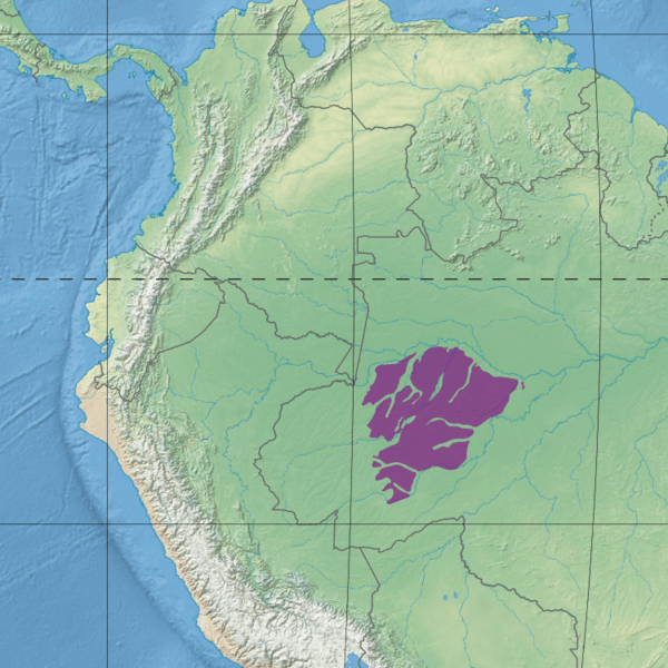 Juruá-Purus moist forests map
