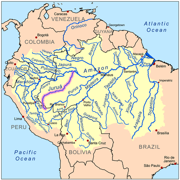 Map of the Amazon River drainage basin with the Juruá River highlighted