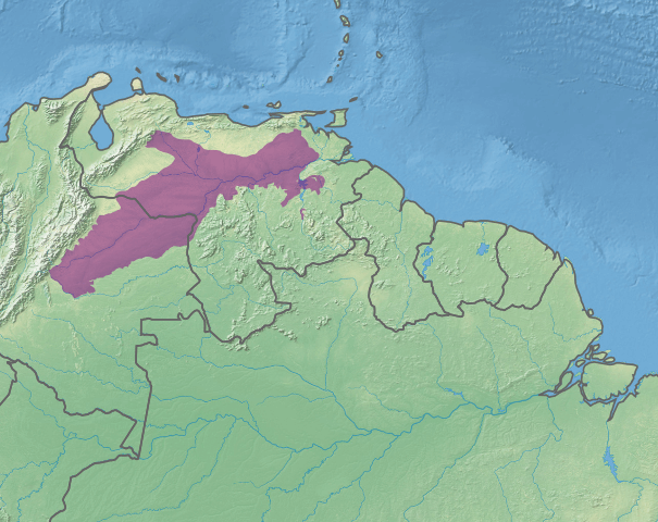Map depicting the location of the Llanos ecoregion (in purple)