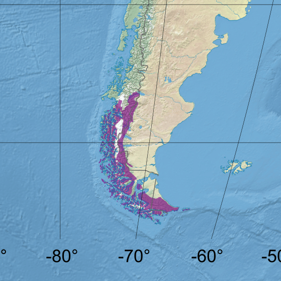 Map depicting the location of the Magellanic subpolar forests (in purple)