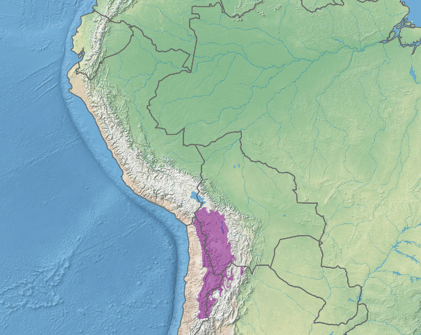 Map depicting the location of the Central Andean dry puna ecoregion (in purple)