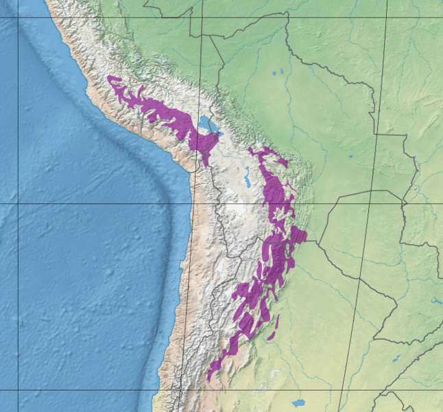 Map depicting the location of the Central Andean puna ecoregion (in purple)