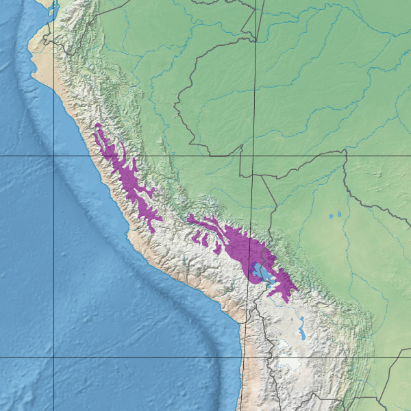 Map depicting the location of the Central Andean wet puna ecoregion (in purple)