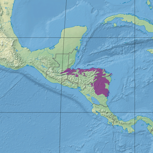 Map illustrating the extent of the Central American Atlantic moist forests