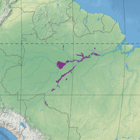 Map depicting the location of the Monte Alegre várzea (in purple)
