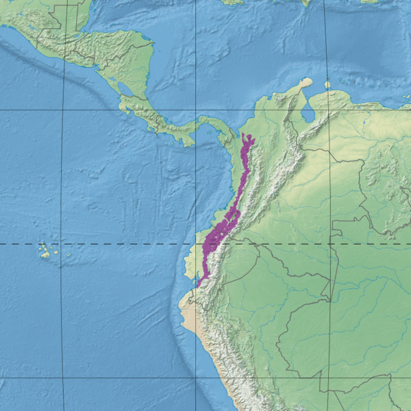 Map depicting the location of the Northwestern Andean montane forests (in purple).