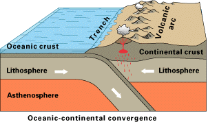 Simplified sketch of the tectonic forces along most of the Andes