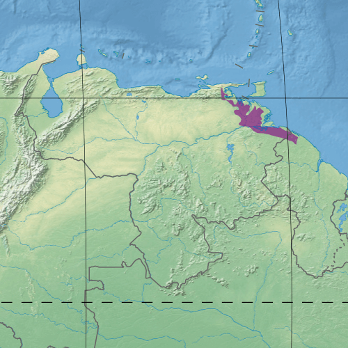 Map depicting the location of the Orinoco Delta swamp forests (in purple)
