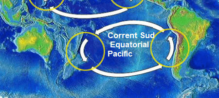 Pacific oceanic gyres - South Equatorial Pacific Current.
