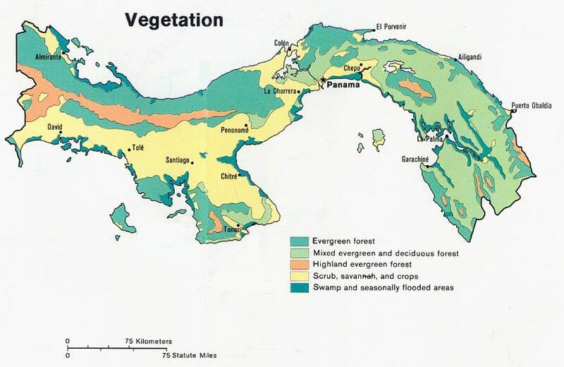 Vegetation map of Panama