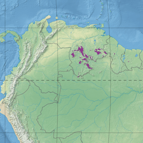 Location map of the Pantepui forests and shrublands ecoregion (in purple)