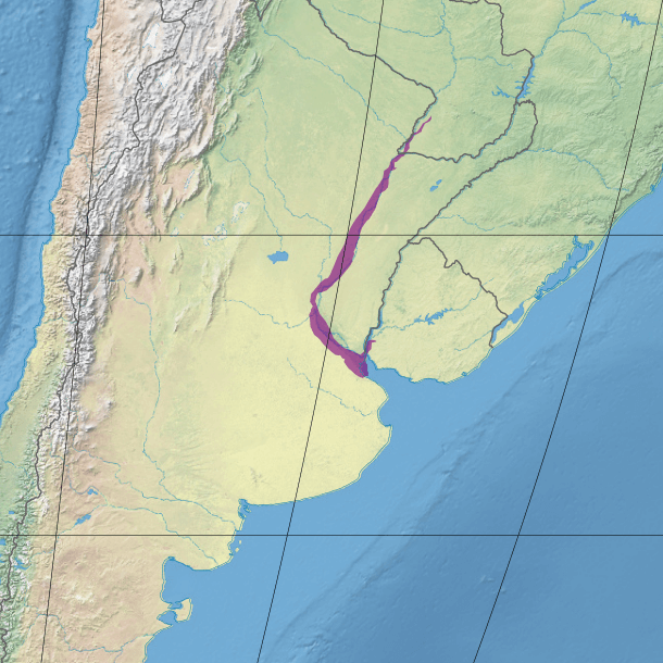 Location of the Paraná flooded savanna (in purple)