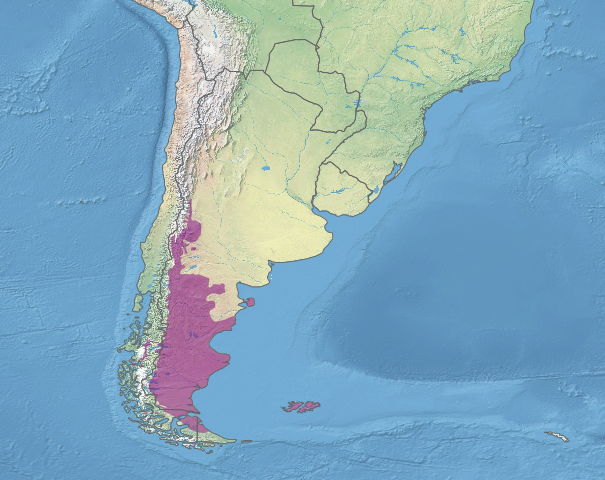 Map depicting the location of the Patagonian steppe (in purple)