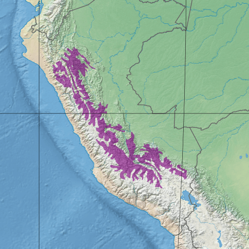 Map depicting the location of the Peruvian Yungas (in purple)