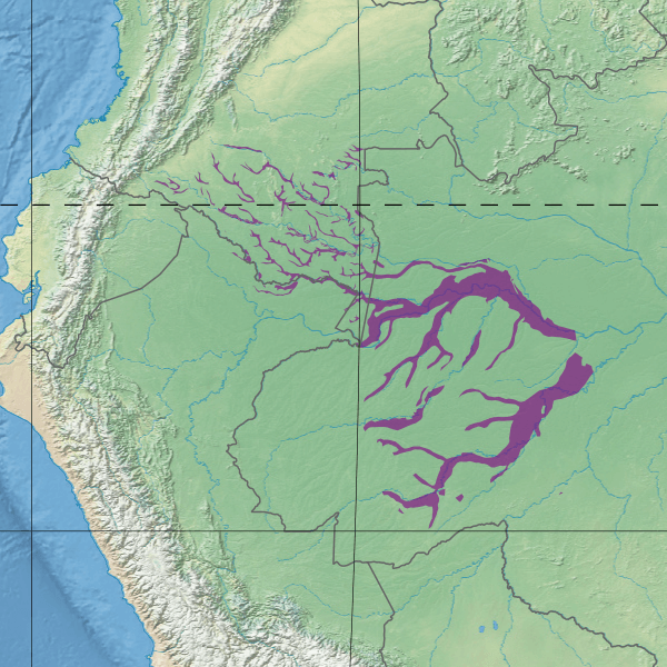 Map depicting the location of the Purus várzea (in purple)