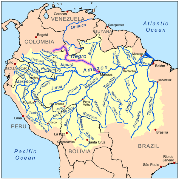 Map of the Amazon River drainage basin with the Rio Negro highlighted