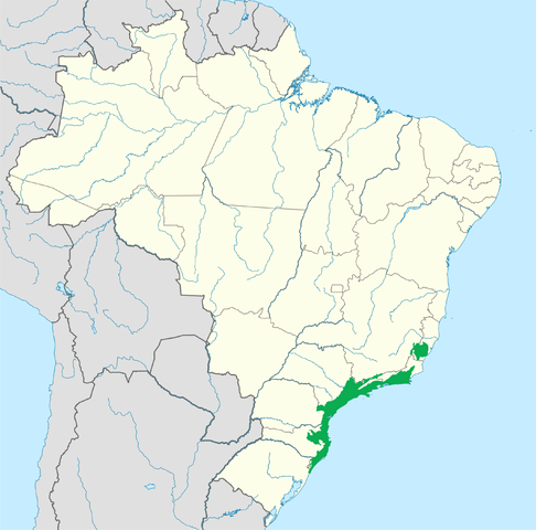 Map of the Serra do Mar coastal forests (in green) as delineated by WWF.