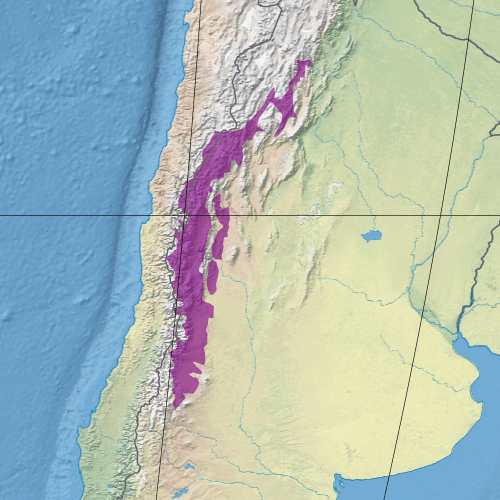 Map depicting the location of the Southern Andean steppe (in purple)