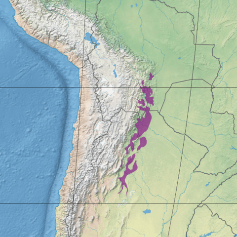 Map depicting the location of the Southern Andean Yungas (in purple)