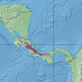 Map depicting the location of the Talamanca montane forests (in purple)