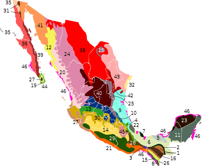 Map of the Terrestrial Ecoregions of Mexico