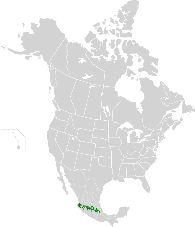 Map depicting the approximate area of the Trans-Mexican Pine-Oak Forests ecoregion.