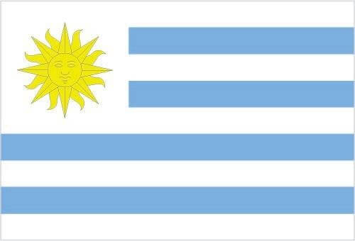 Official flag of Uruguay