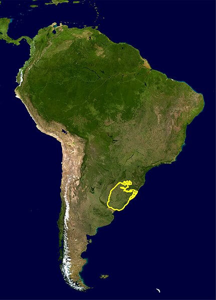 Map depicting the location of the Uruguayan savanna ecoregion in Uruguay, Brazil, and Argentina