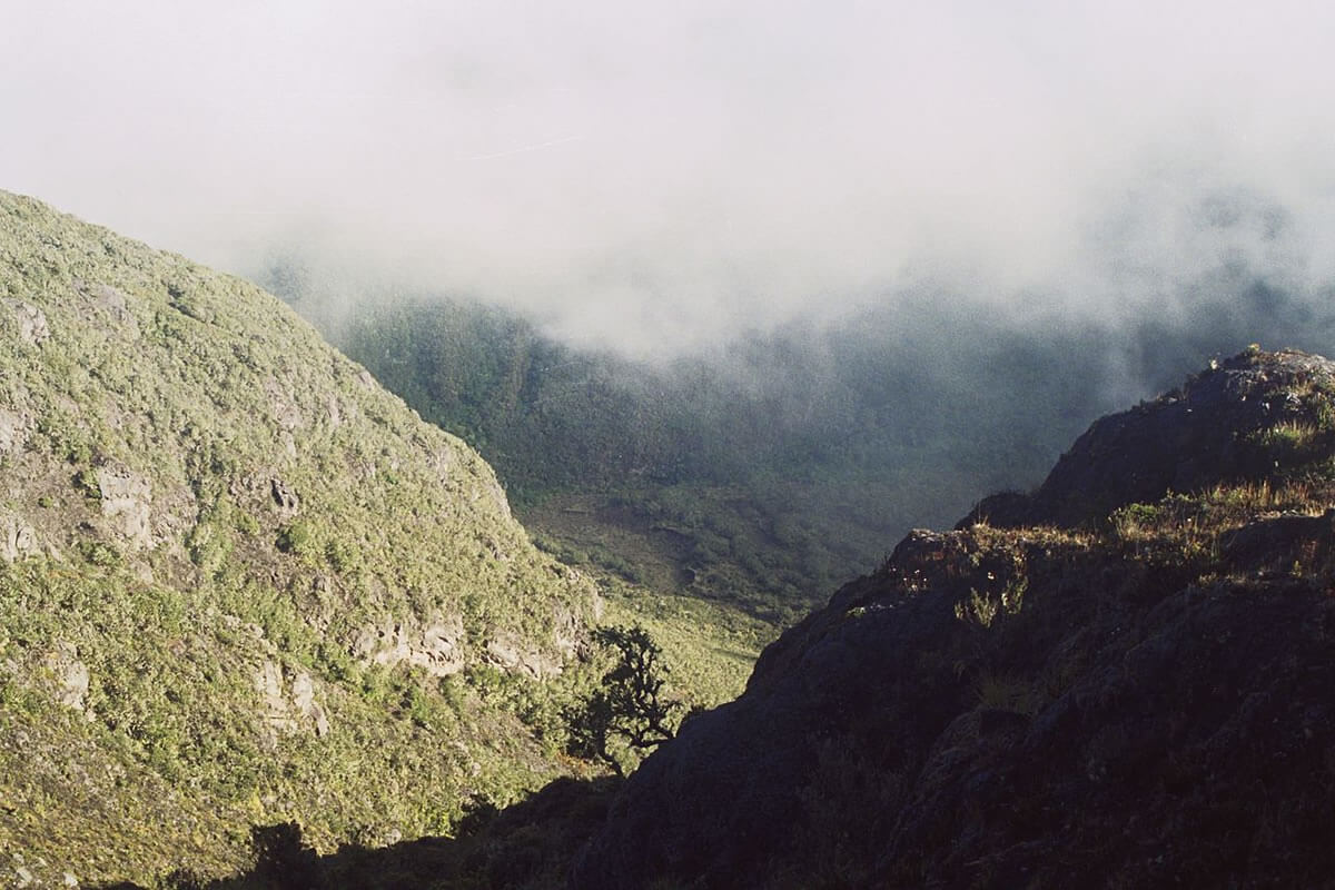 La Amistad International Park: Transboundary Jewel | LAC Geo