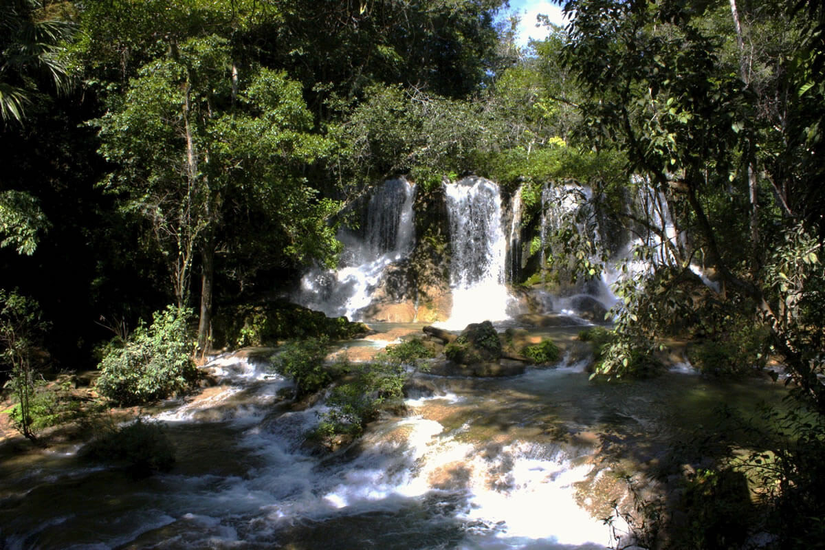 Lacandón Forest & Montes Azules Biosphere Reserve: Guardians of the ...