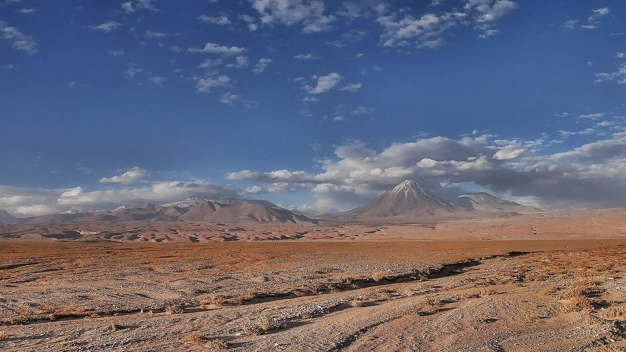 The Atacama Desert & Ecoregion: Arid Histories & Ecological Marvels 
