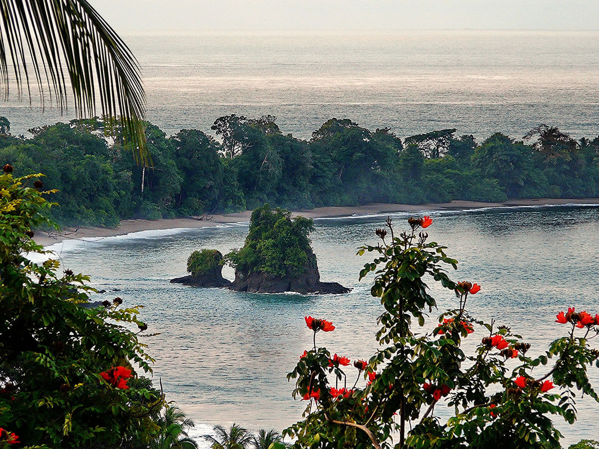 Manuel Antonio National Park: Costa Rica's Jewel of Biodiversity  LAC Geo