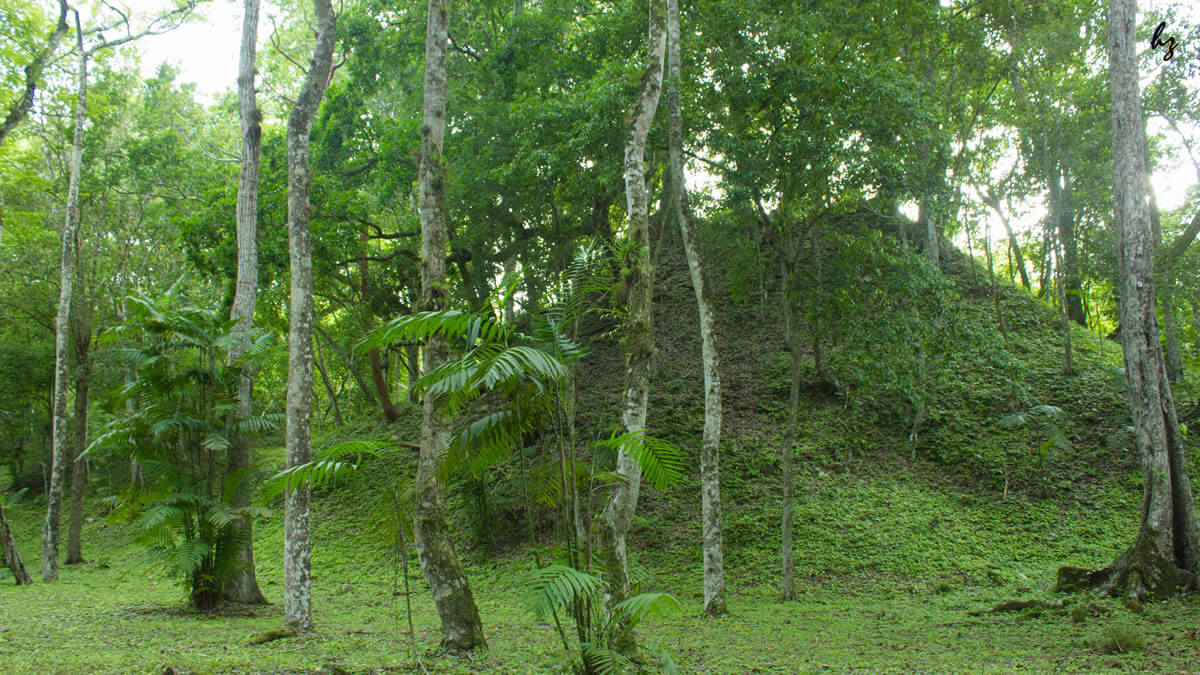 The Petén Basin & Maya Forest: A Comprehensive Exploration  LAC Geo