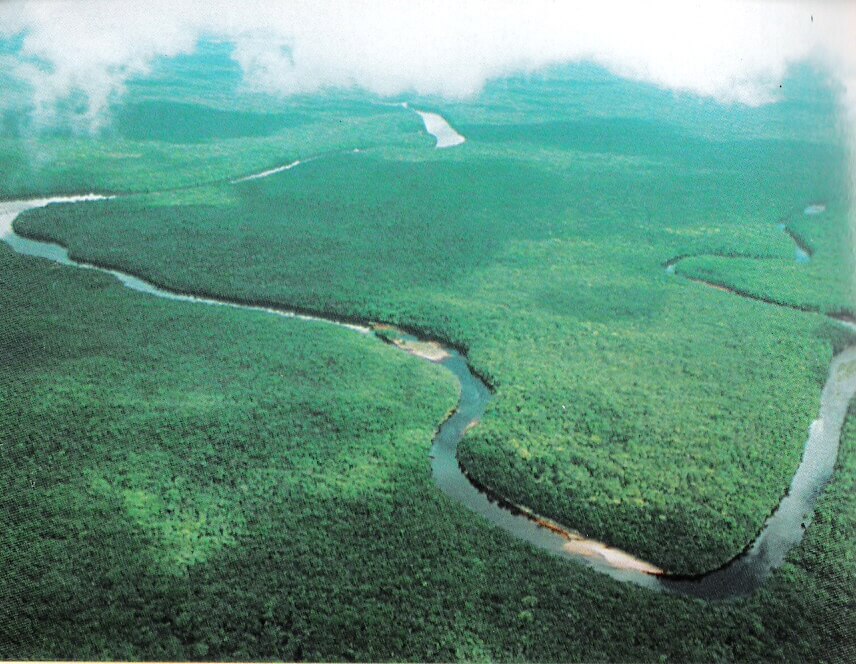 El Delta del Orinoco con subdivisiones geográcas.