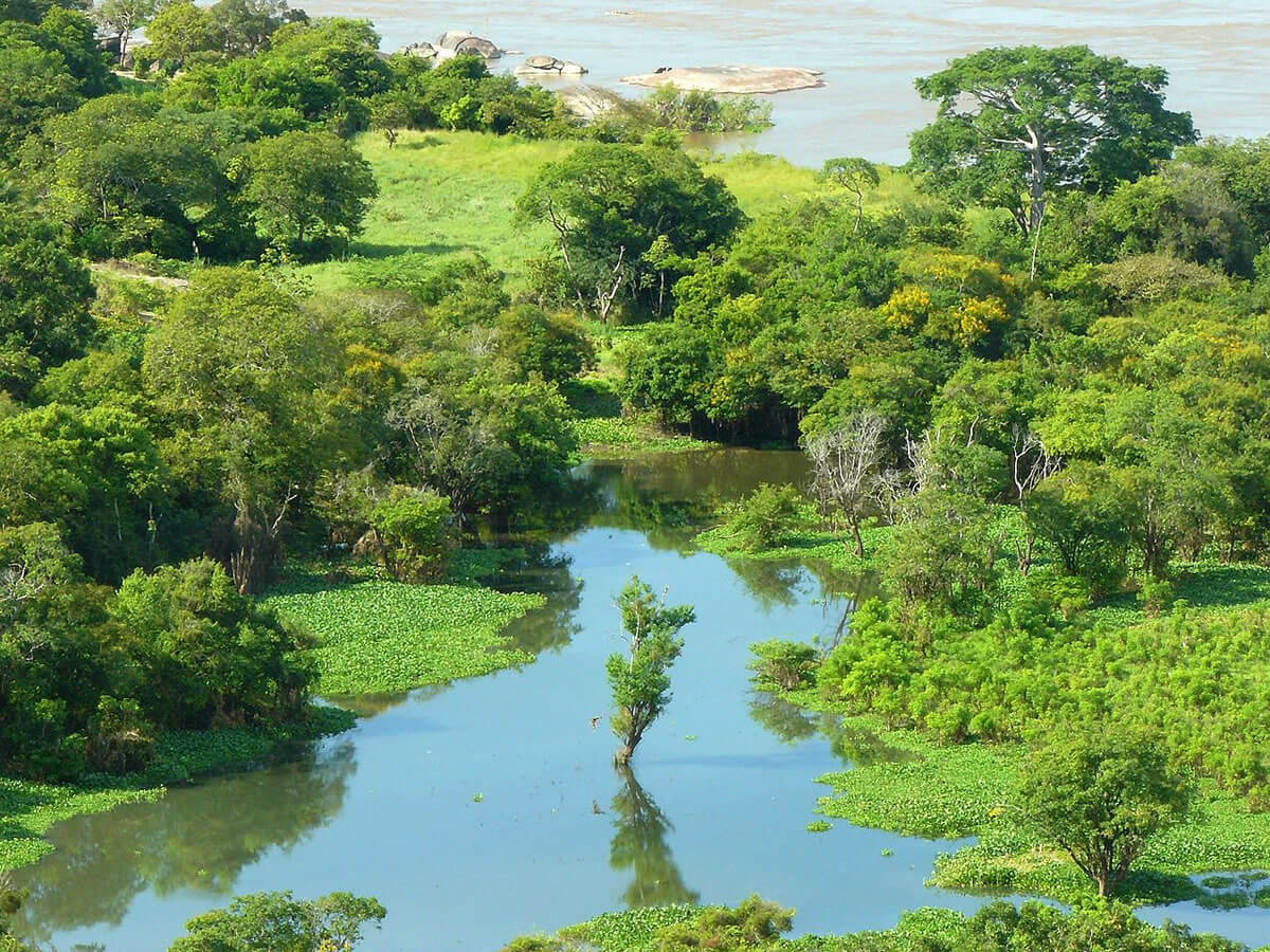 El Delta del Orinoco con subdivisiones geográcas.